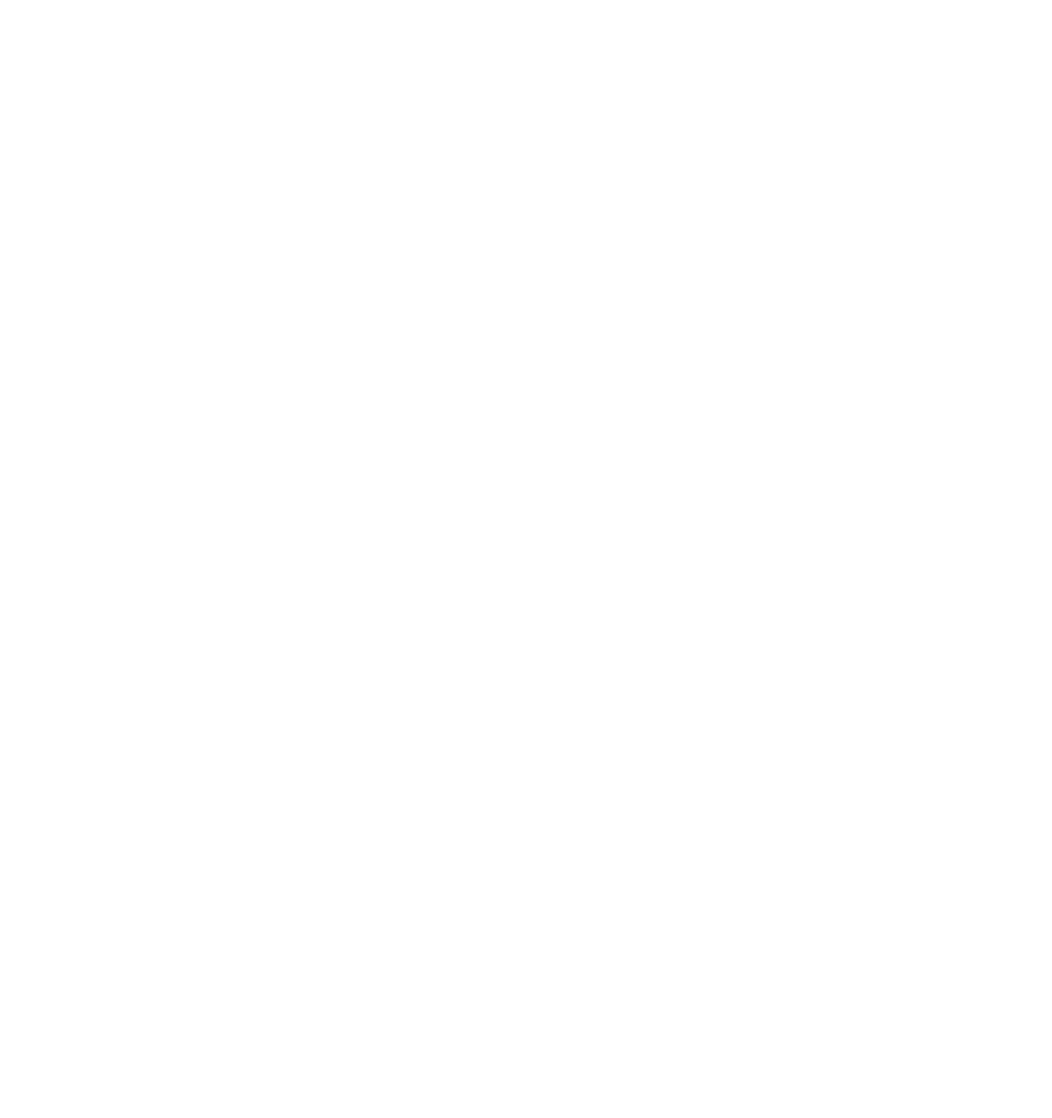 Anarşi Roleplay Logo